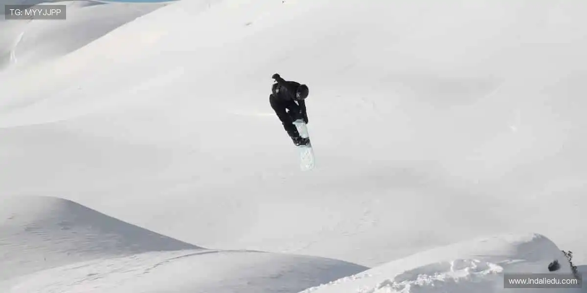 🎯精准数据,深度解析赛事背后的故事!